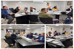 برگزاری جلسه دفاع از پروپوزال پایان‌نامه دکتر علی ابراهیم‌زاده